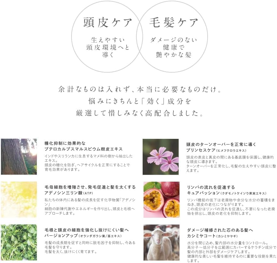 Amazon | プテロ ARシャンプー 300ml ＋ スカルプパック 240g ＋